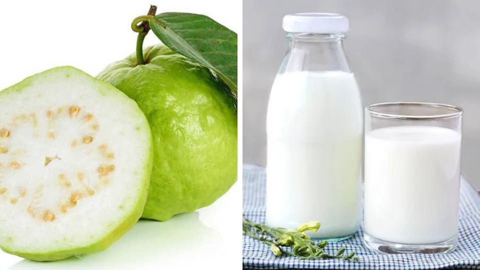 Sinh tố ổi sữa tươi (1)