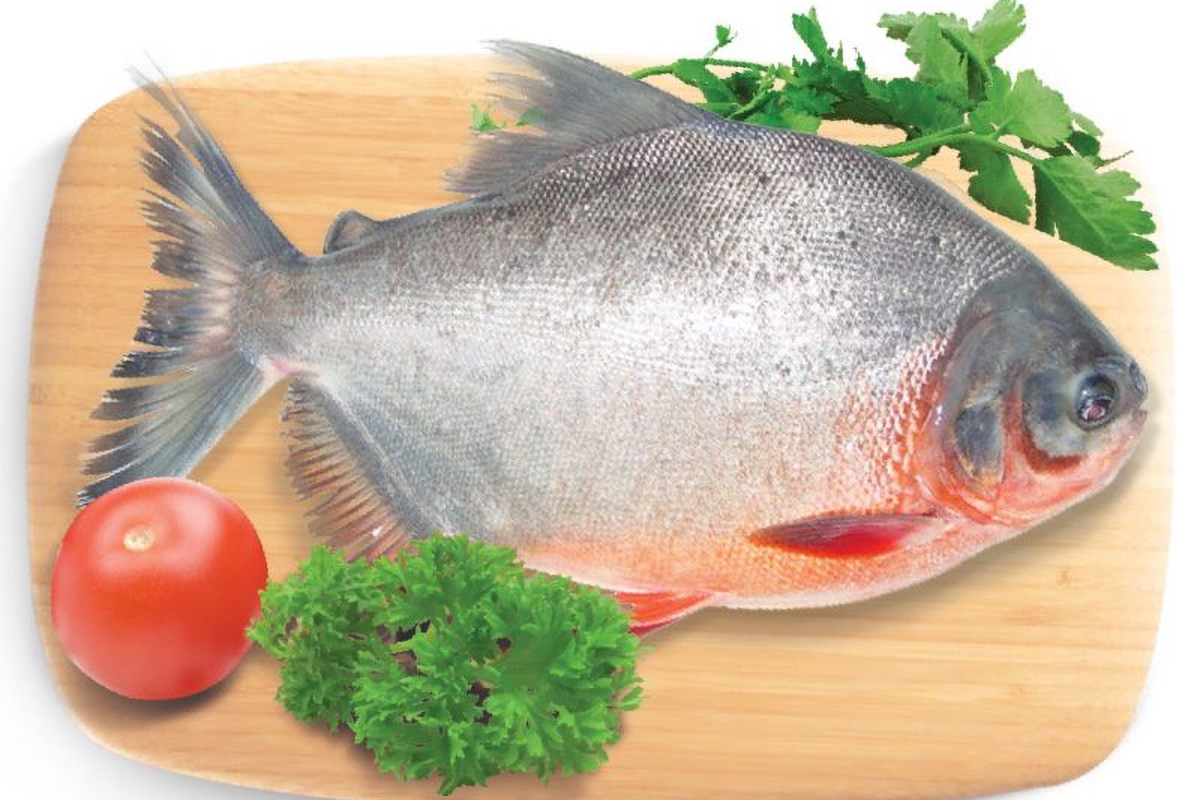 cá chim hấp - hình 9