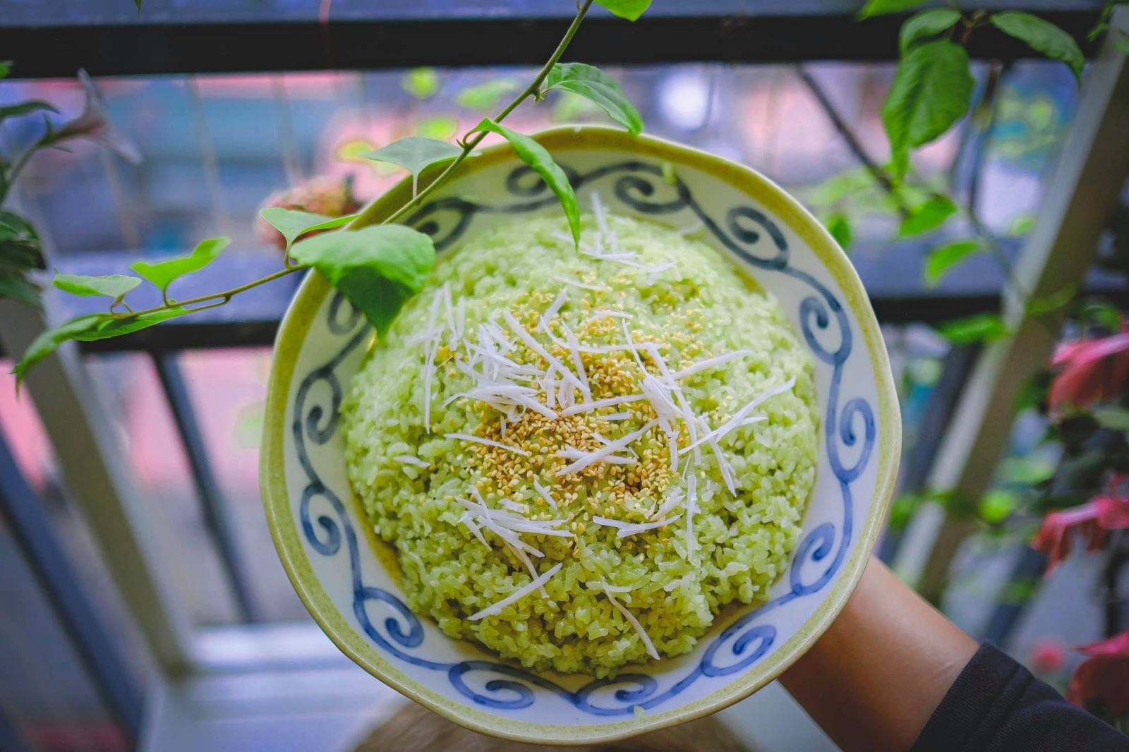 các loại xôi hình 7