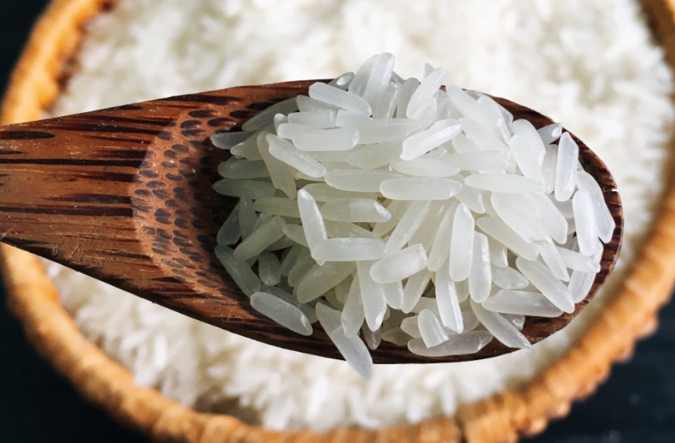 Cách nhận biết giống gạo ST25 thật và giả