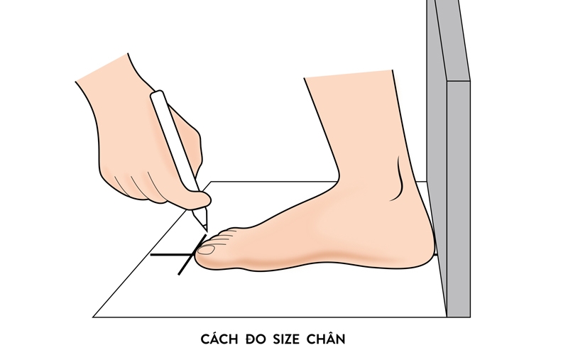 Cách chọn size giày 2