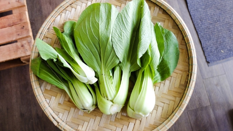 Cách chọn mua cải thìa tươi ngon