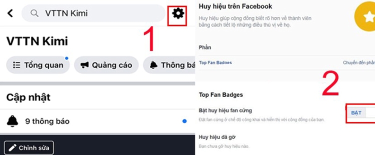 Huy hiệu fan cứng (hình 8)