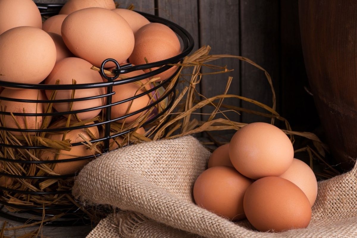 Su su xào trứng: Hướng dẫn cách làm đơn giản, nhanh chóng ngay tại nhà cho những ai chưa biết 3