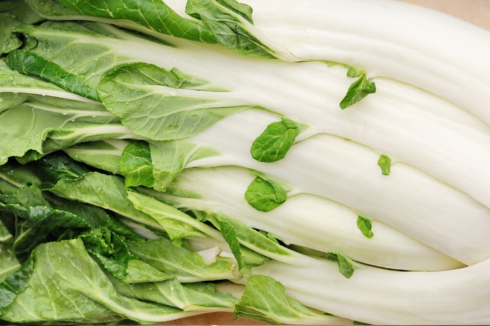 Cải bẹ trắng