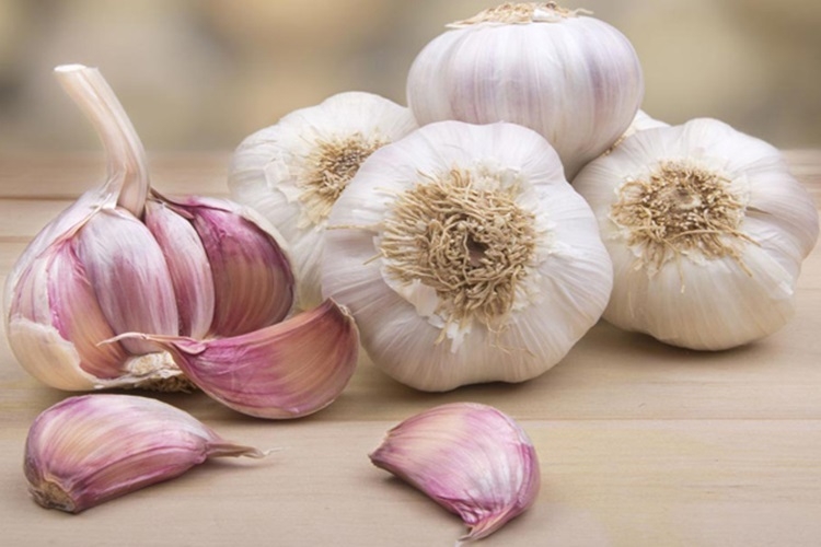 Bí quyết cách ngâm tỏi ớt với mắm thơm ngon và bảo quản, sử dụng được lâu ngày - Hình 1