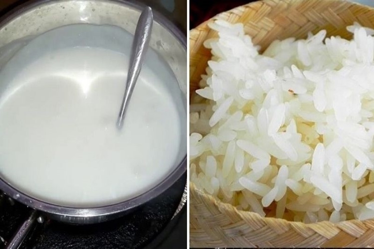 Nấu gạo nếp cùng nước cốt dừa