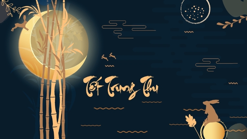 Mẫu 6