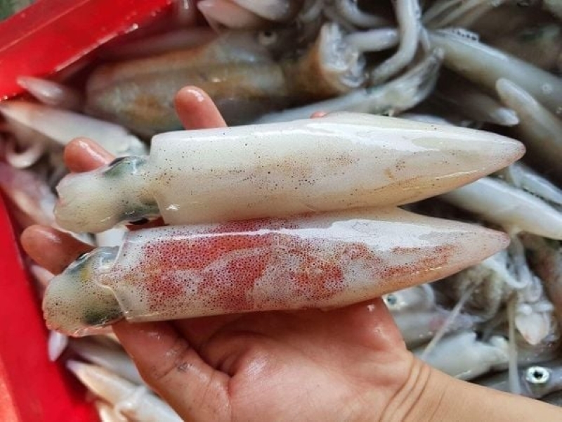 Bí quyết chọn mực tươi ngon