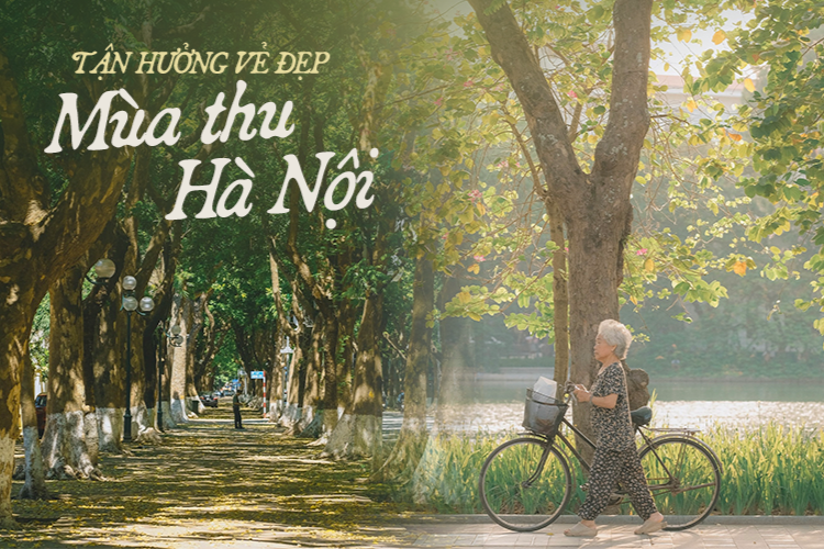 STT tháng 9 - 2