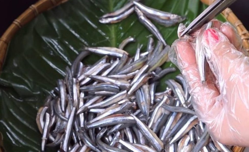 sơ chế cá cơm