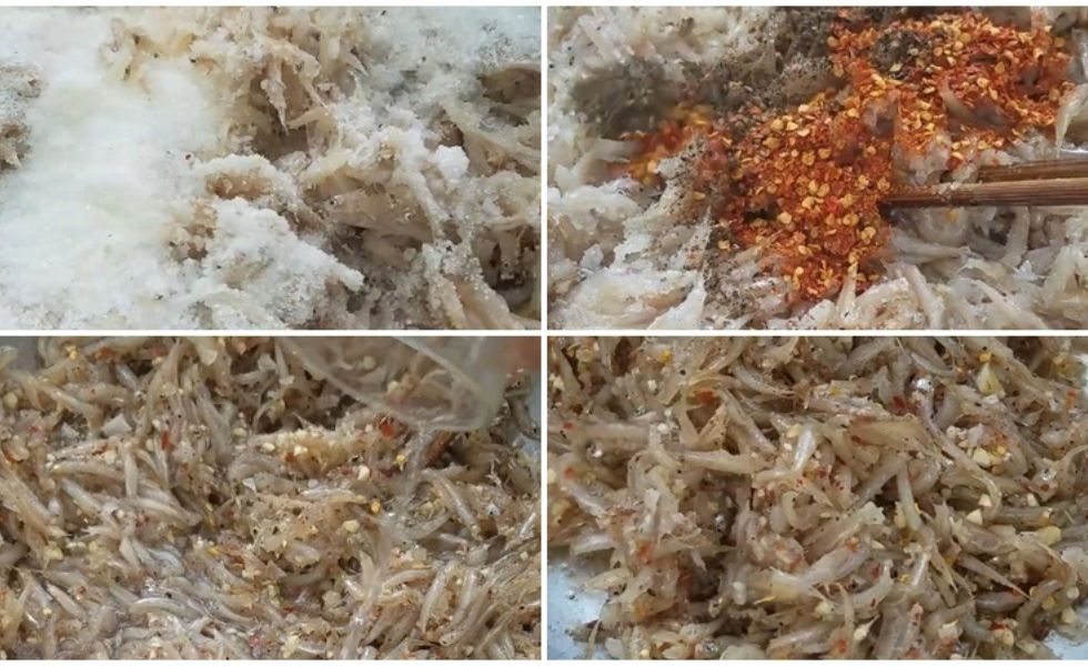 Ướp gia vị cá cơm