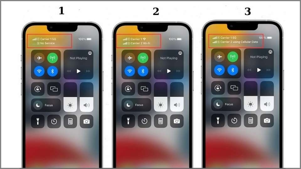 Quan sát đặc điểm và ứng dụng