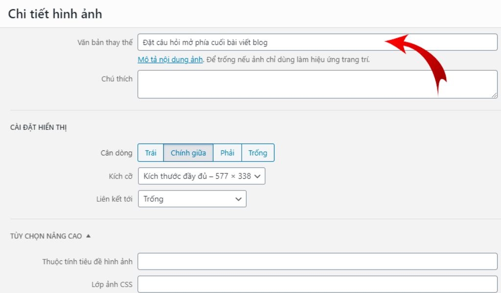 Thẻ Alt là gì? Tầm quan trọng và cách viết Alt Text chuẩn SEO lọt top tìm kiếm Google 3