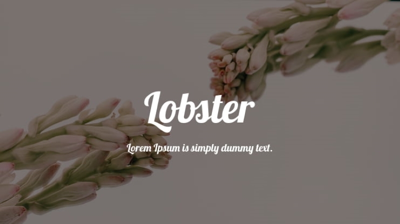 Font chữ đẹp trong Word: Lobster
