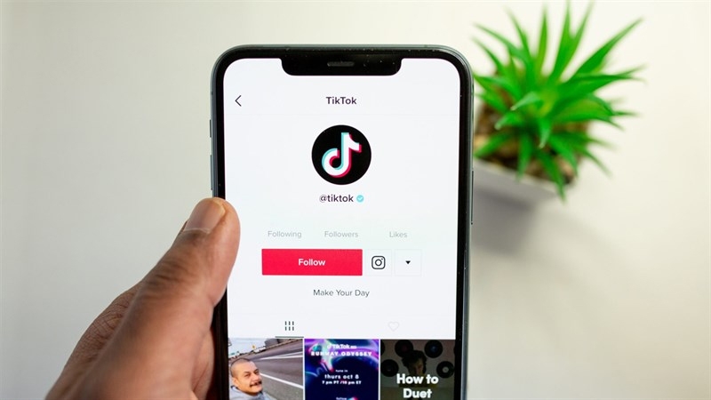 Giới hạn follow trên TikTok - hình 3