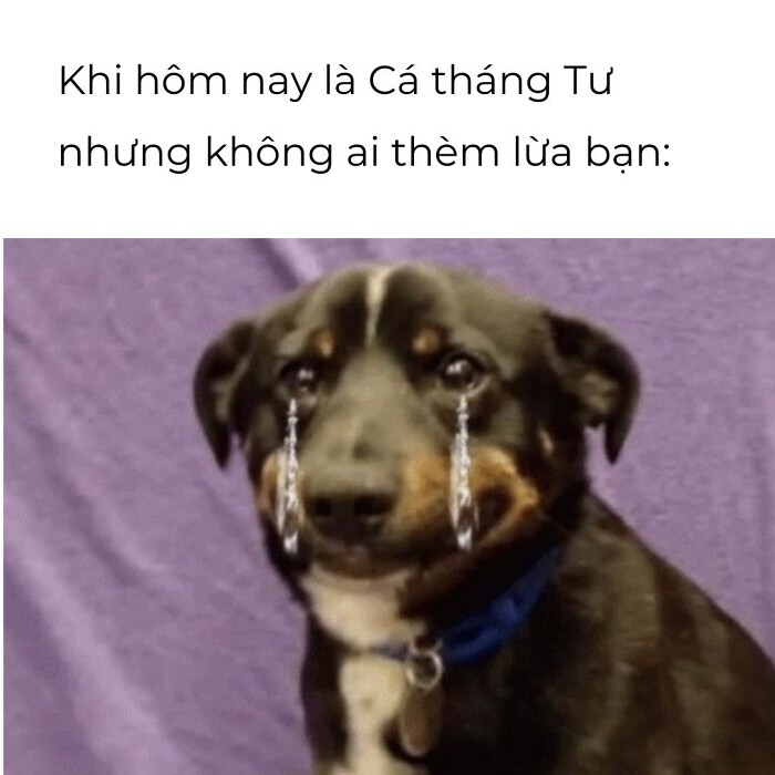 Câu nói dối ngày cá tháng tư - 4