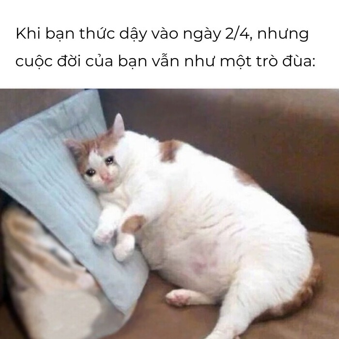 Câu nói dối ngày cá tháng tư - 5