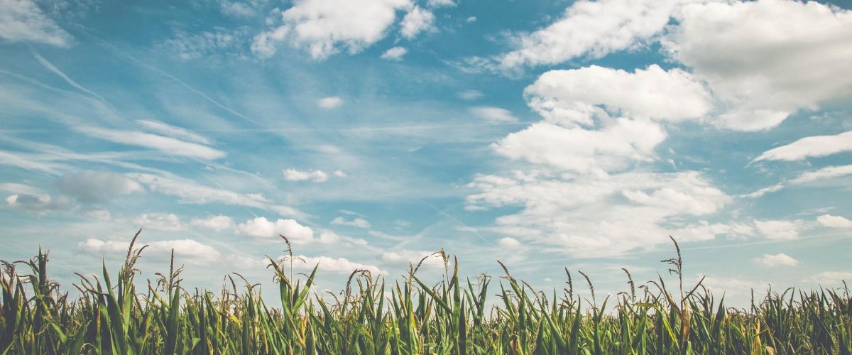 hình bìa trời xanh lam