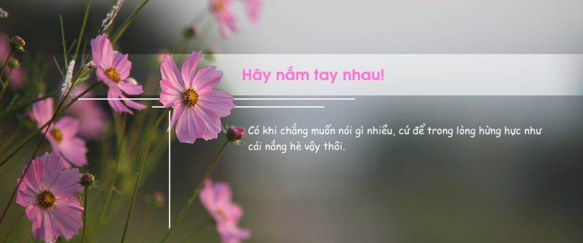 ảnh bìa hoa có chữ