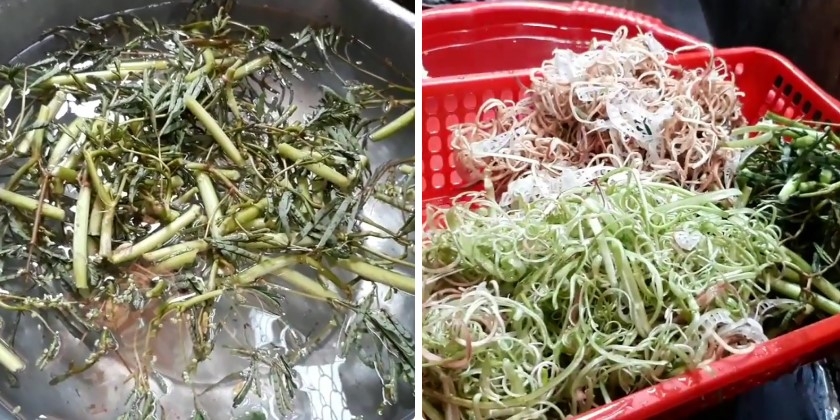 cá đuối nấu canh chua - Ảnh 11