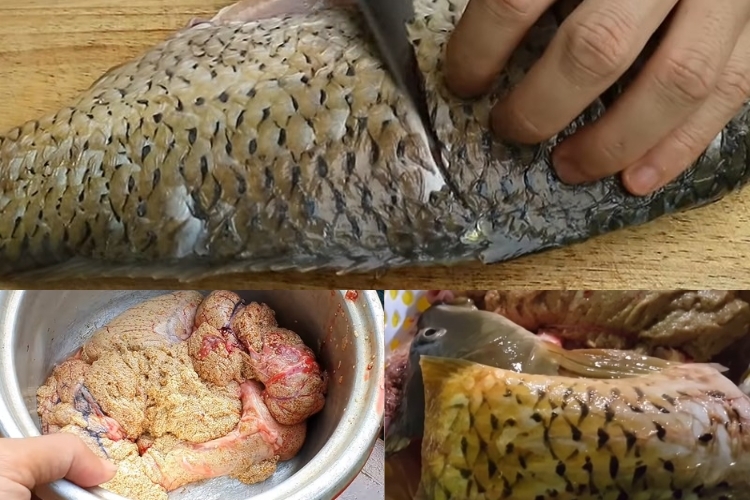 Sơ chế cá chép