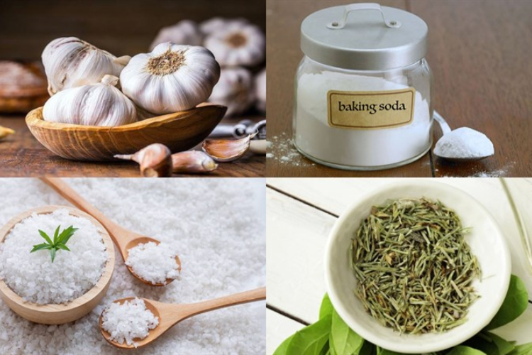 Áp dụng ngay 4 cách bảo quản tỏi bóc sẵn hiệu quả, đơn giản, dễ làm để giữ tỏi tươi không bị ủng hình 3
