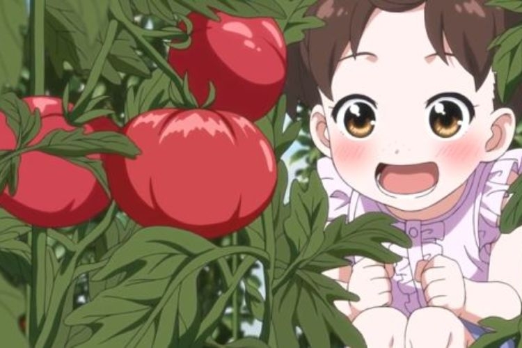 background trái cây 7