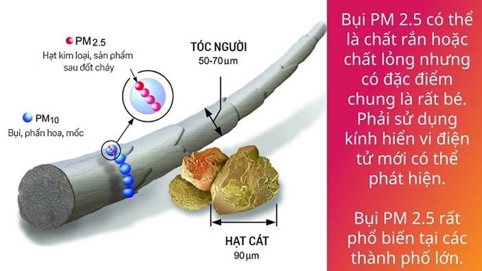 PM2.5 là ký hiệu để chỉ các hạt bụi có kích thước 2.5 micron trở xuống.