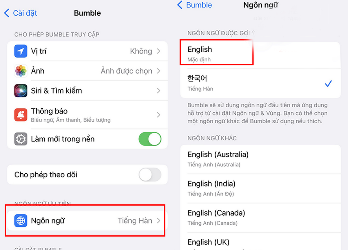 thay đổi ngôn ngữ trên bumble - hình 5