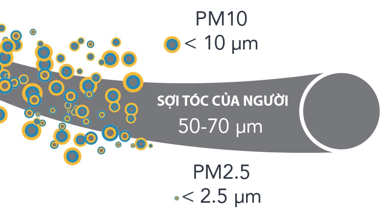 Bụi mịn PM10 có kích thước lớn nhất 