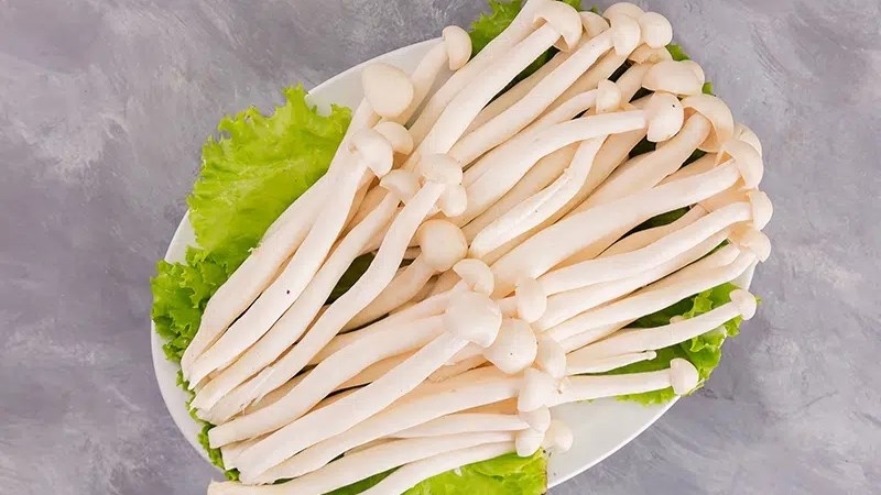 Nên mua nấm hải sản thế nào?