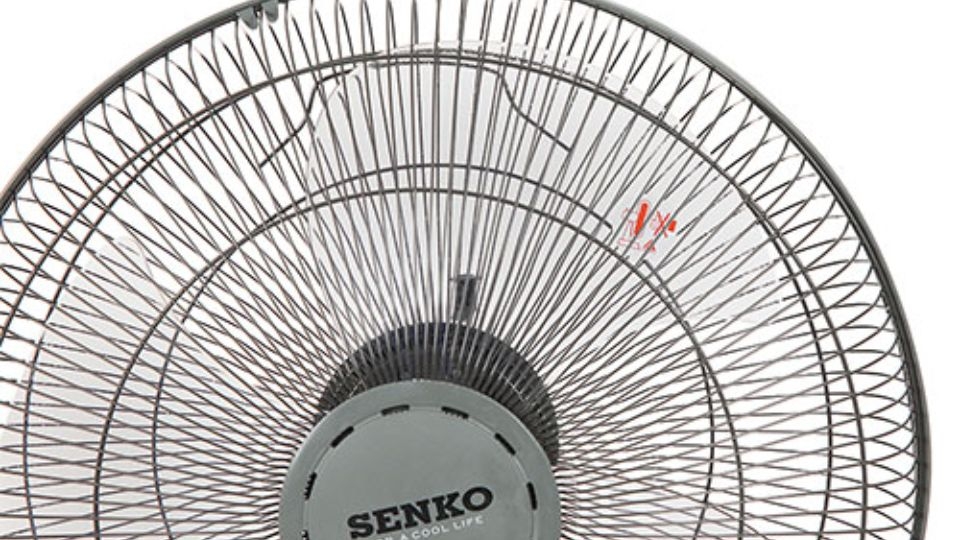 Nan quạt đan khít