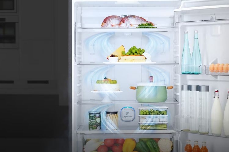 hoạt động của bộ lọc Hygiene Fresh+