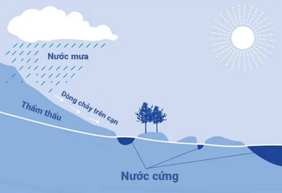 nguyên nhân gây nước cứng