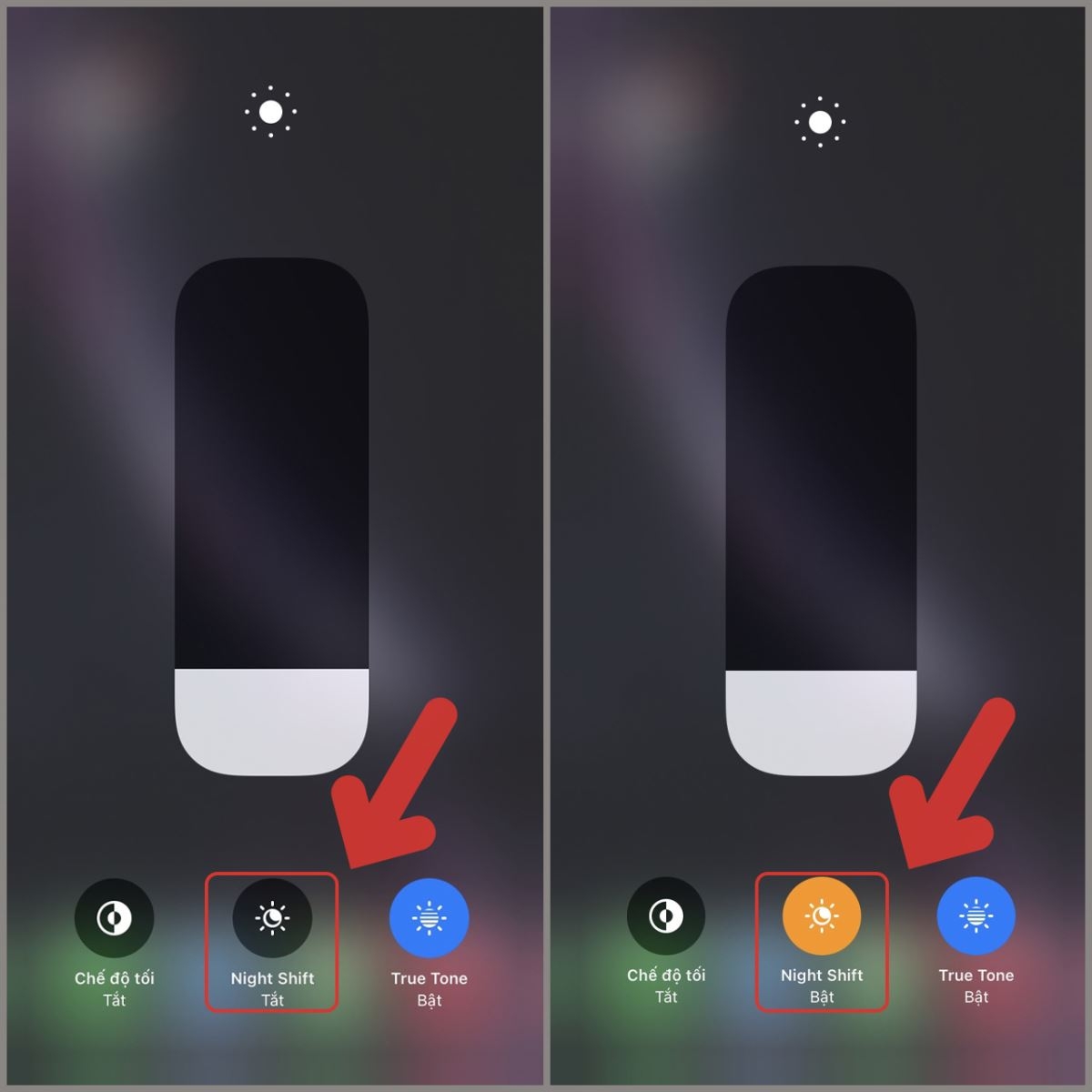 màn hình iPhone bị lỗi màu 3