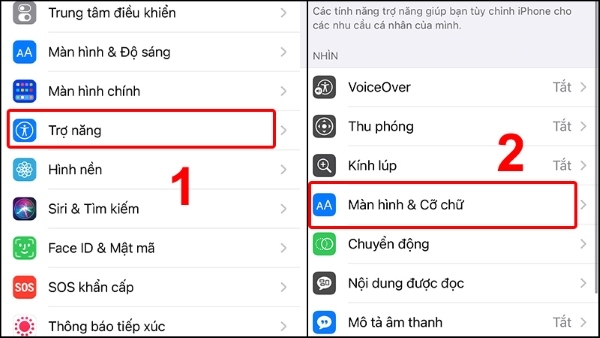 màn hình iPhone bị lỗi màu 4
