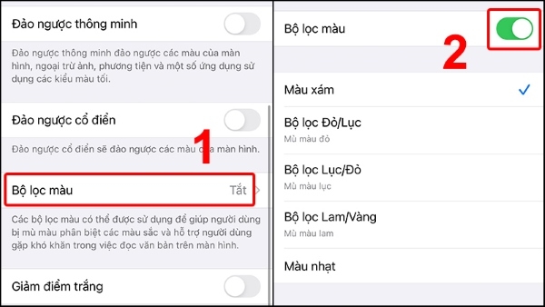 màn hình iPhone bị lỗi màu 5