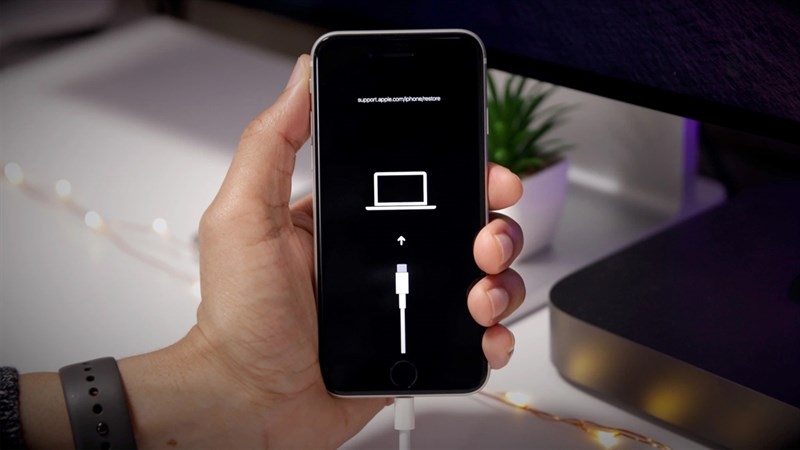 màn hình iPhone bị lỗi màu 8