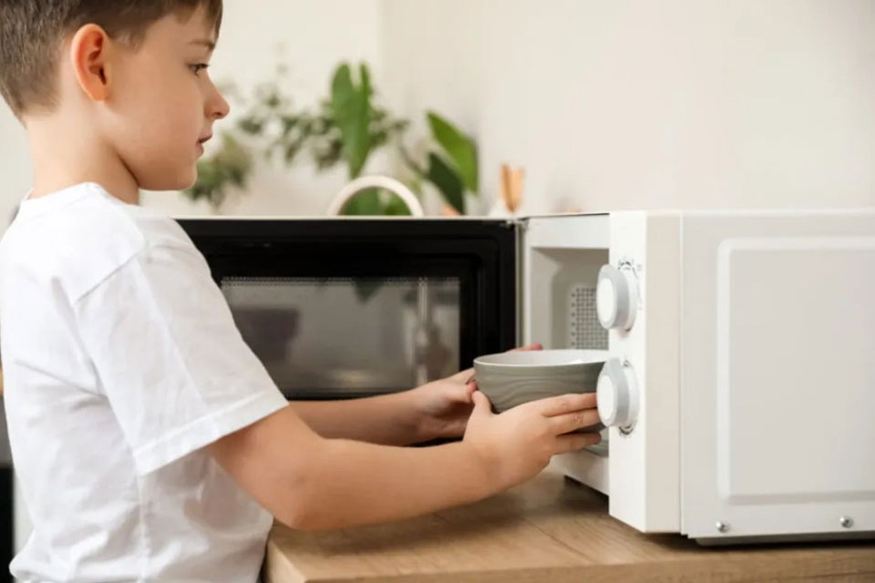 Lò vi sóng cơ - Ảnh 01