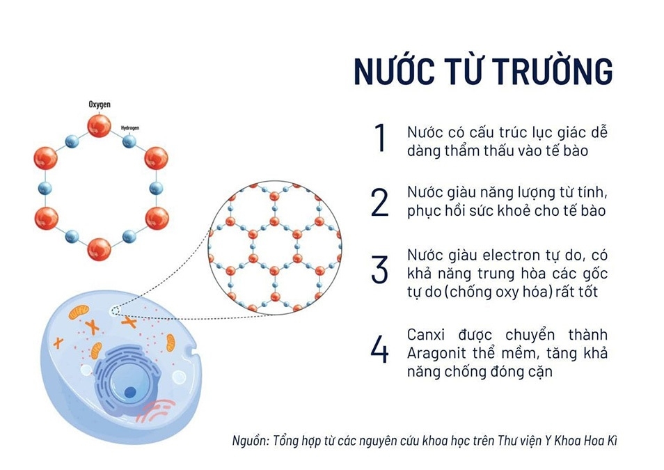 So sánh nước từ trường và nước ion kiềm để biết lựa chọn nào tốt hơn cho sức khỏe của bạn 2