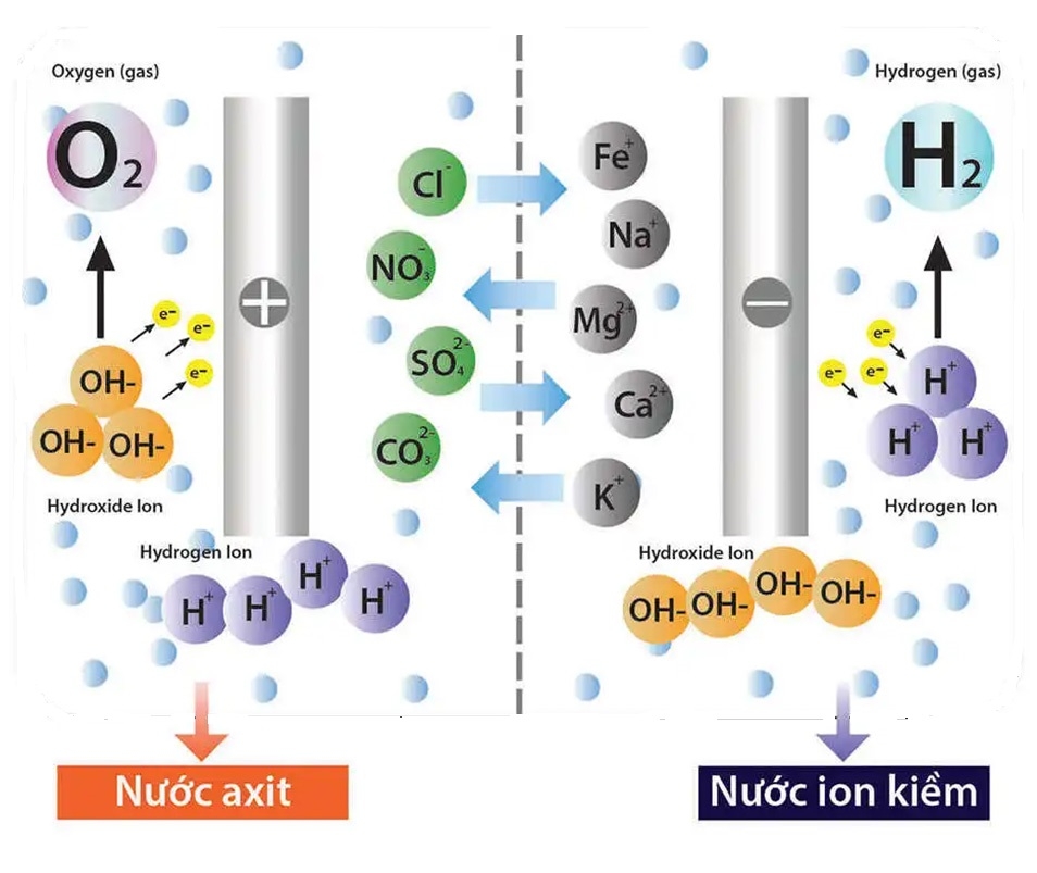 So sánh nước từ trường và nước ion kiềm để biết lựa chọn nào tốt hơn cho sức khỏe của bạn 4