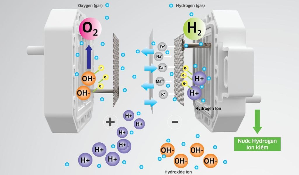 Công nghệ lọc RO hydrogen ion kiềm là gì? Ưu điểm nổi bật và những lưu ý khi sử dụng 5