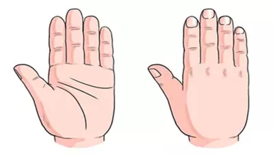 Người có 10 hoa tay có tính cách như thế nào? (Theo sinh trắc học)