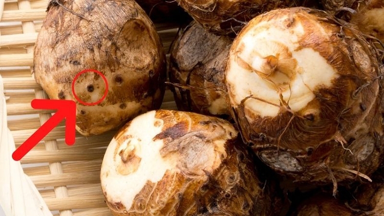 Cách nấu chè khoai môn (hình 2)