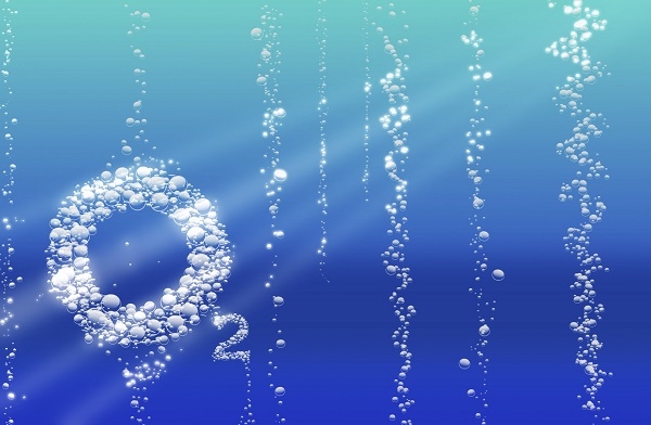 Lõi hồng ngoại xa là gì, có công dụng gì? Mức giá tham khảo của lõi hồng ngoại xa 3