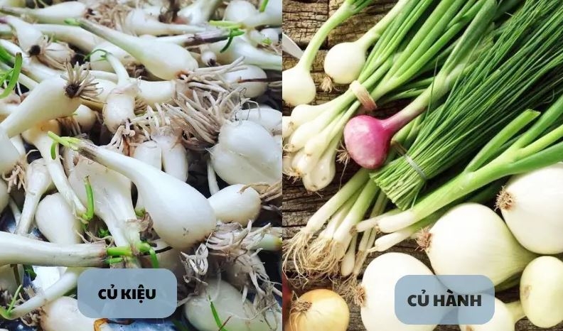 Củ kiệu là gì 4