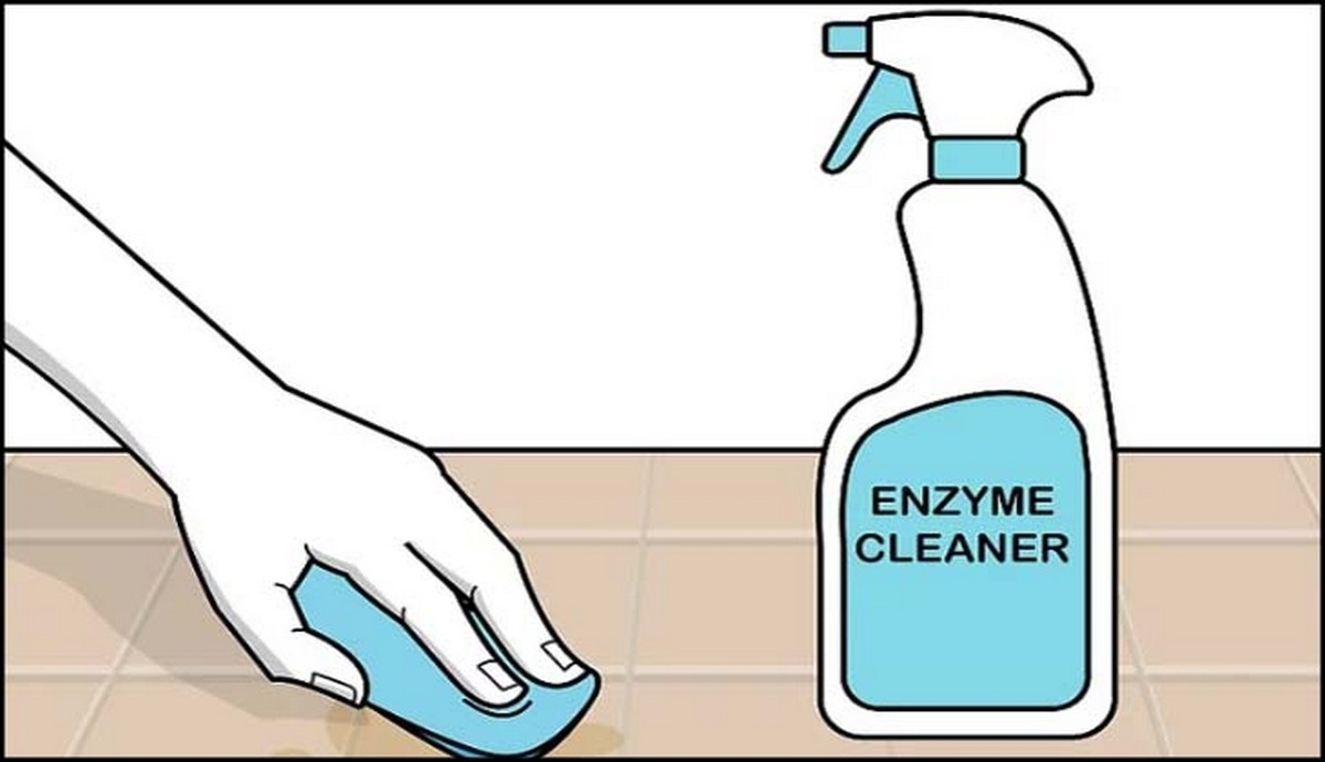 giặt nệm - hình 7