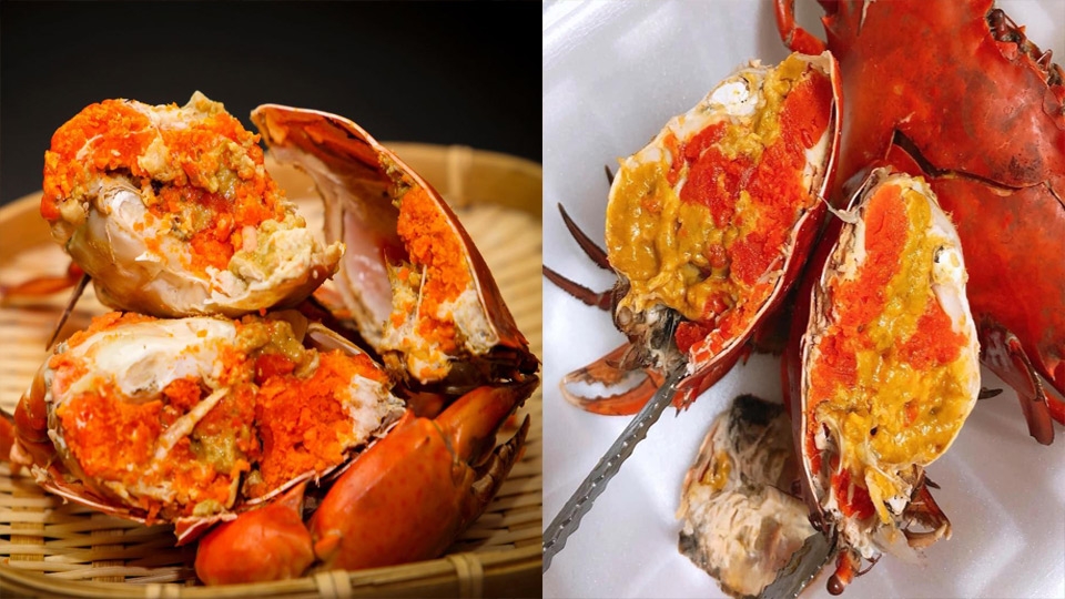 Cua cái thường có nhiều gạch hơn