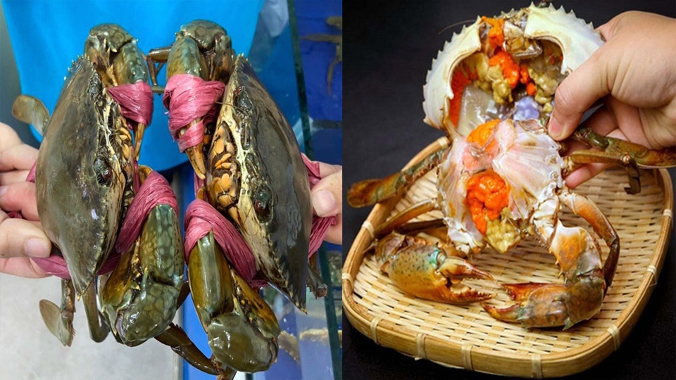 Nên chọn mua cua gạch tươi ngon